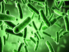 多学科讨论：哪些抗生素使用后艰难梭菌感染风险高？