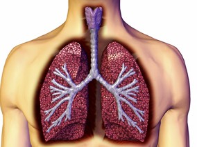 辅助EGFR酪氨酸激酶抑制剂可提高非小细胞肺癌无病生存率