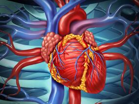 赖诺普利可有效预防心脏传导系统疾病