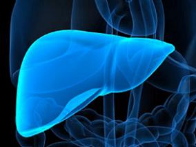 糖尿病和肝硬化是慢性丙肝治愈后患肝细胞癌的风险因素