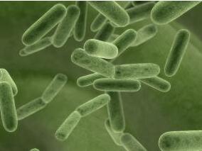 摄入益生菌联合微量元素能否有效预防儿童院内感染？