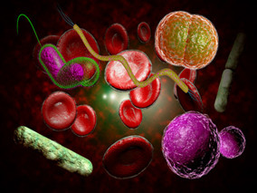 预防院内艰难梭菌感染：减少PPI 增加益生菌