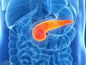 多学科讨论：西格列汀的胰腺安全性引发关注 其实……