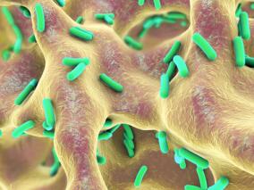 头孢洛扎-他唑巴坦挽救治疗多药耐药的铜绿假单胞菌感染