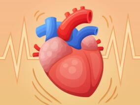 要逆天了！科学家们发现修复受损心脏的方法