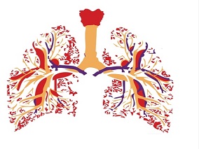COPD：阿地溴铵/福莫特罗混合剂的长期安全性和耐受性