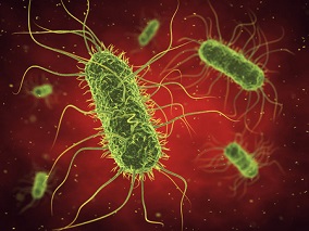 金黄色葡萄球菌菌血症：联合抗菌治疗效果如何？