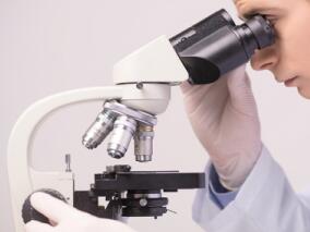 新型显微镜可实时检查肿瘤切片 避免再次手术