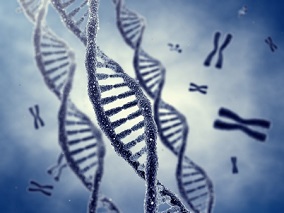 美国完成首次人类胚胎基因组编辑