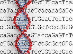 国际机构呼吁：基因剪刀谨慎对胚胎基因动刀