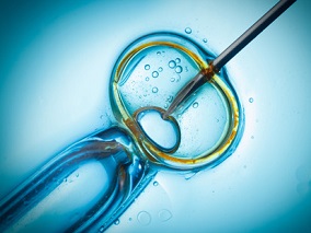 体外受精如何选择胚胎？新型成像技术来了！