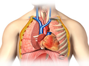 慢性肺源性心脏病急性加重期的治疗原则和方案是什么？