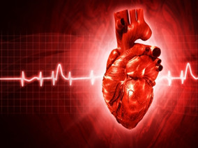 心律失常真要命 “电基因”帮助心脏自行修复