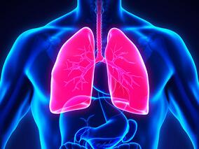 吡非尼酮和尼达尼布治疗肺纤维化：耐受性和不良药物反应