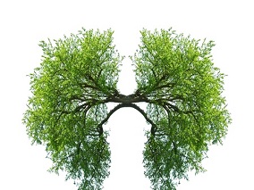 FDA批准三联方案吸入器治疗COPD