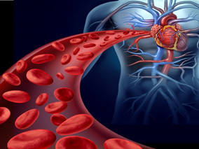 高心血管风险的COPD患者：吸入性治疗影响心血管结局吗？