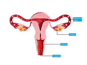 深部直肠阴道子宫内膜异位症：药物治疗是最佳选择？