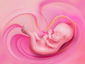 多发性硬化症女性 妊娠期暴露于那他珠单抗对胎儿有何影响？
