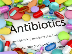 终生抗生素治疗：哪来的证据？