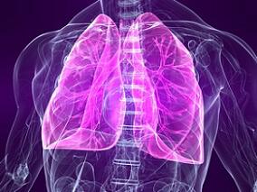 儿童时期肺功能轨迹是否延伸至成年？