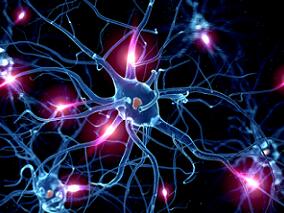 长期服用最高剂量利拉鲁肽 对中枢神经系统有何影响？