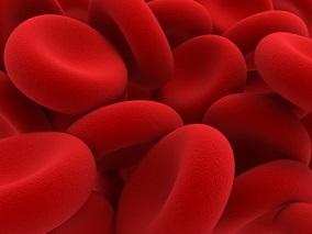 降低造血干细胞移植后GvHD的威胁 哪种预防方案最给力？