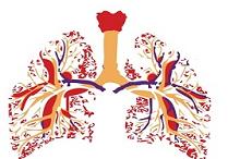 抗PD-1一线治疗晚期NSCLC 生存率生活质量双丰收