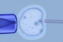 冷冻胚胎移植后出生的儿童 患1型糖尿病风险增加
