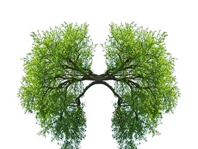 铂类化疗后进展的NSCLC：免疫治疗+新搭档 有戏！