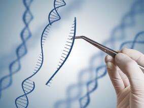 美国发起人类体细胞基因组编辑计划 有望加速开发疾病新疗法