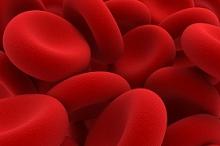 非透析依赖性CKD贫血 罗沙司他可降低红细胞输注风险63%