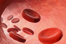 中性粒细胞减少患者革兰阴性杆菌血流感染 初始经验治疗可加入氨基糖苷类