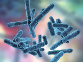 抗生素管理计划预防多重耐药肠杆菌定植有效