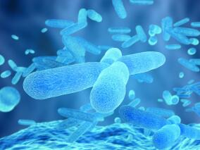 【遏制细菌耐药白皮书】严静教授：耐药菌感染与抗菌药物合理使用的研究进展