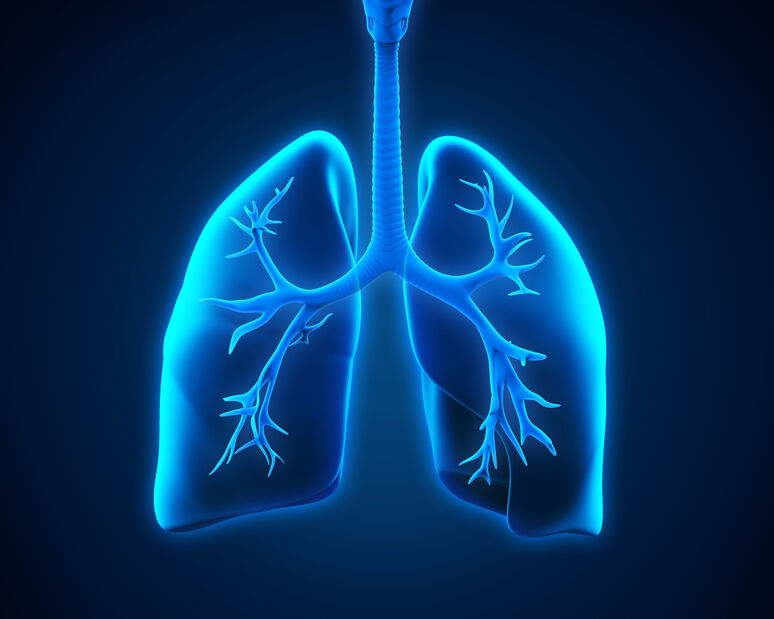 肺癌患者给药培美曲塞：标准化or个体化 更划算？