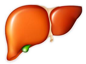质子泵抑制剂暴露如何影响肝硬化患者关键肝脏相关结局？