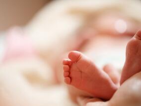 对极早产儿，喂食捐赠母乳或者早产儿配方奶粉，其神经发育结局没有差异