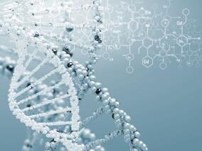 《自然》子刊：RAB32是家族性帕金森病的易感基因